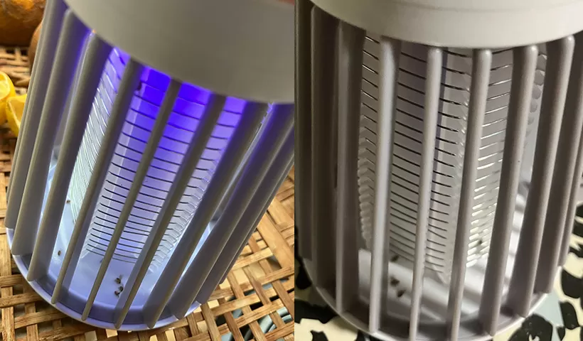 コバエが取れている写真